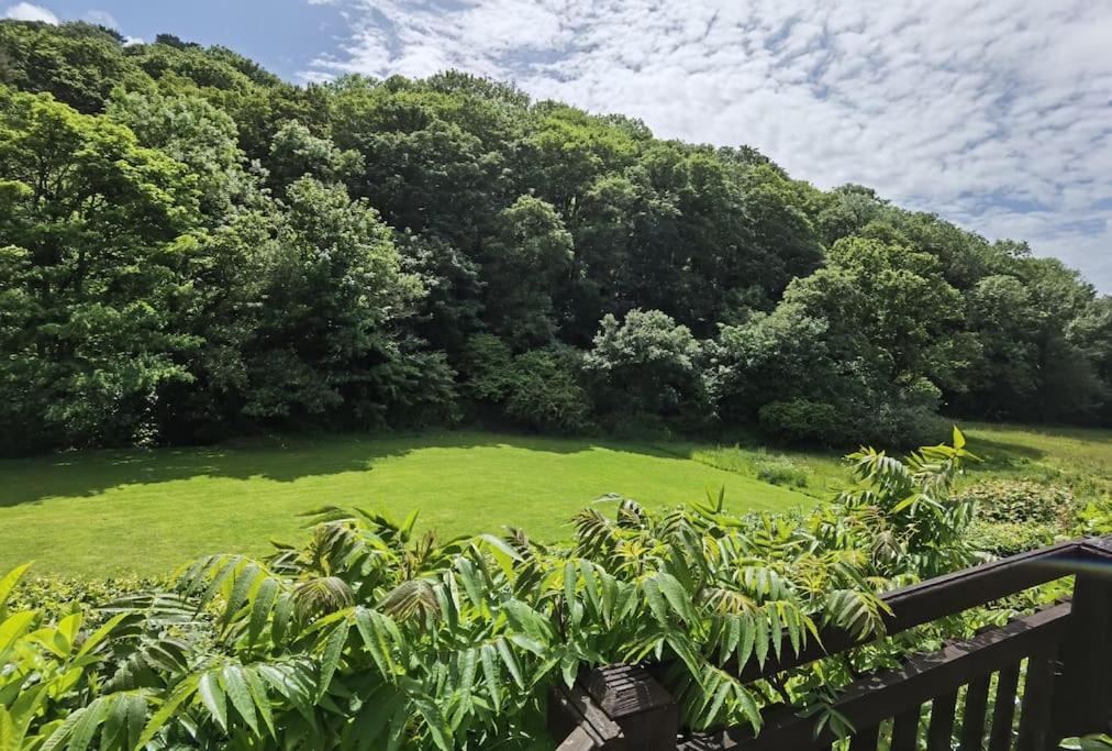 Kallowen Cottage At Crackington Haven, Near Bude And Boscastle, Cornwall エクステリア 写真