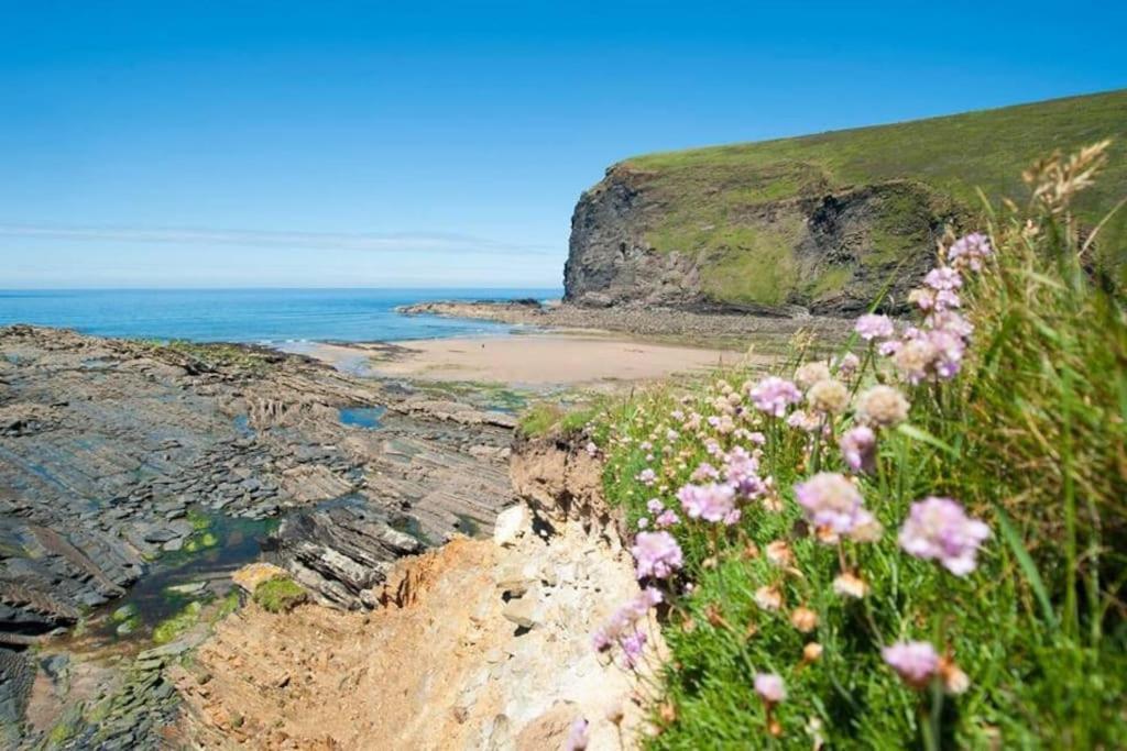 Kallowen Cottage At Crackington Haven, Near Bude And Boscastle, Cornwall エクステリア 写真