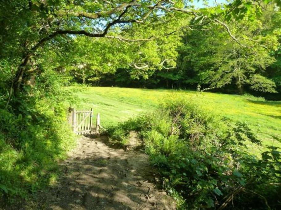 Kallowen Cottage At Crackington Haven, Near Bude And Boscastle, Cornwall エクステリア 写真